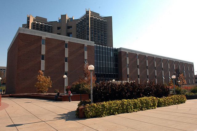 Stevenson Hall, a rectangular brick building with a sidewalk path, bushes, and a bowl-shaped fountain in front.