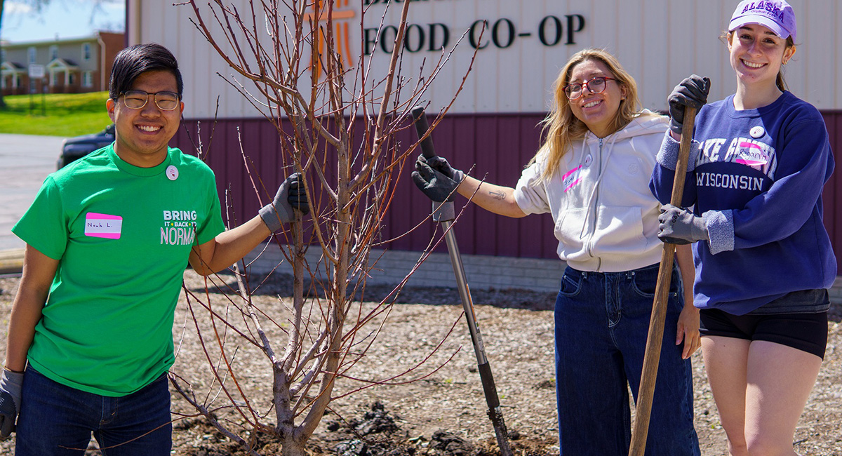 three students planting a tree